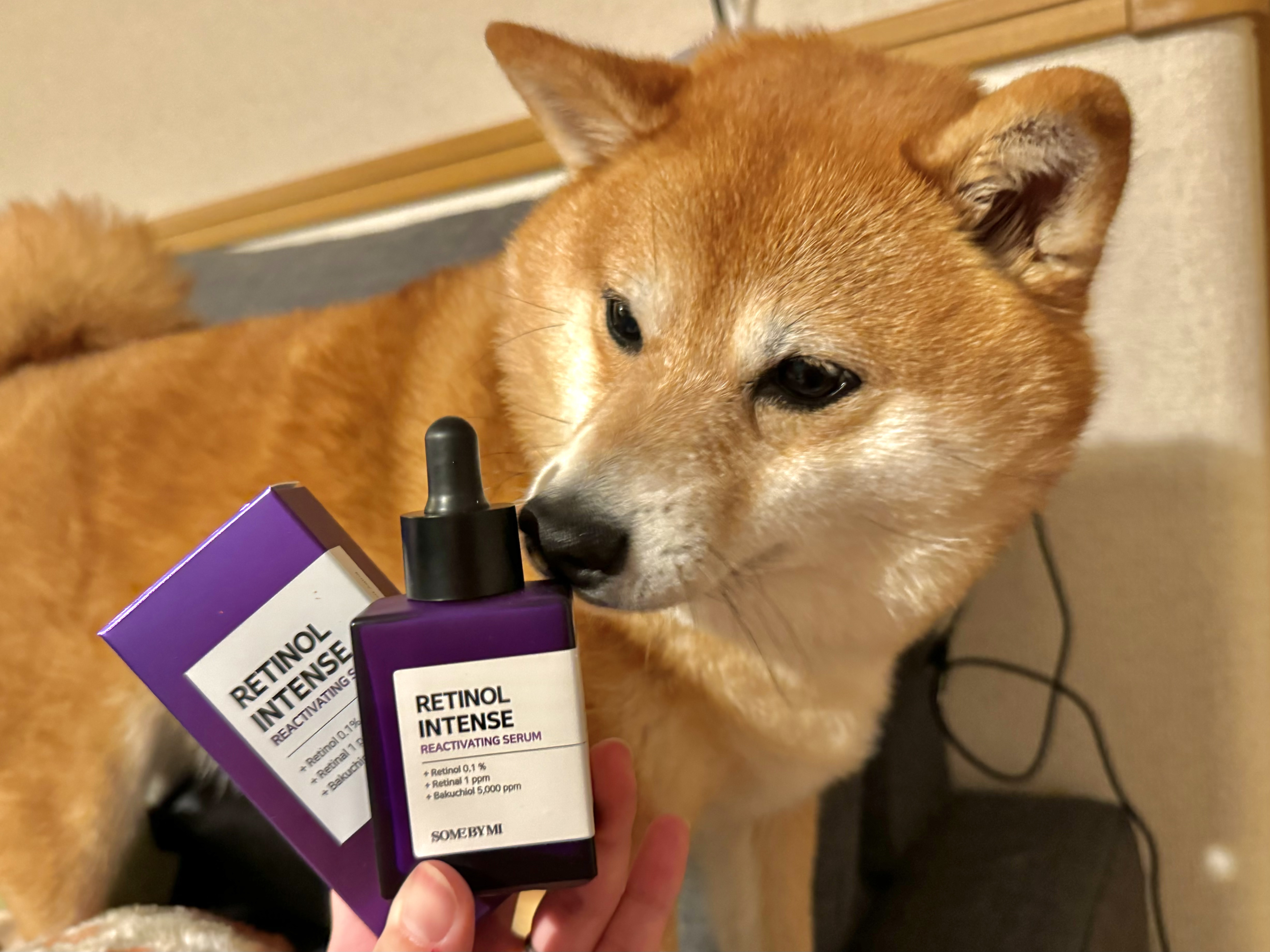 レチノールインテンスリアクティベーションセラム/SOME BY MI/美容液を使ったクチコミ（1枚目）
