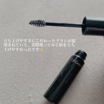 ブロウ リフト SP-1 クリアナチュラル/Visée/その他アイブロウを使ったクチコミ(2枚目)