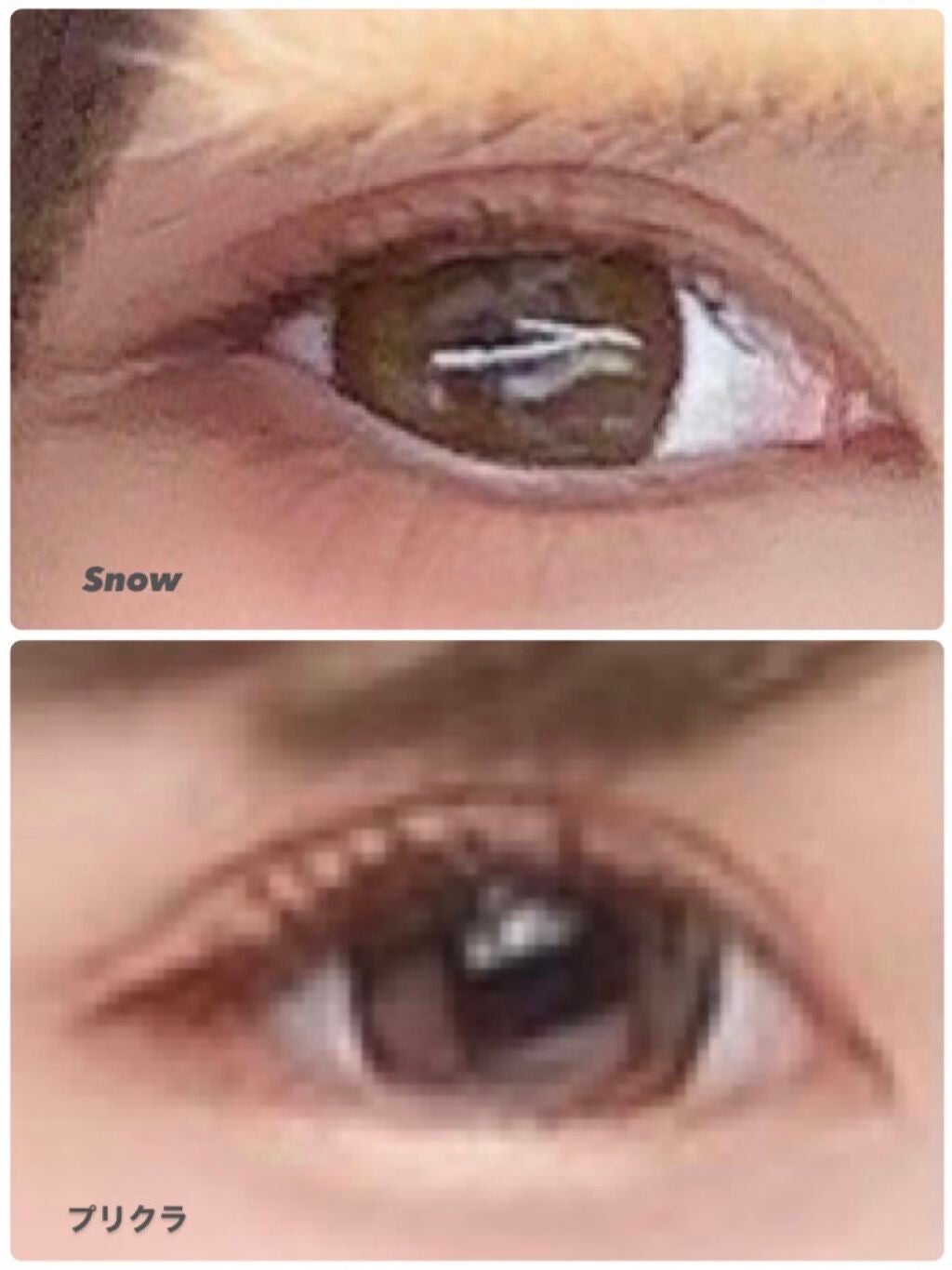 エバーカラーワンデー ナチュラル/エバーカラー/ワンデー(1DAY)カラコンを使ったクチコミ(2枚目)