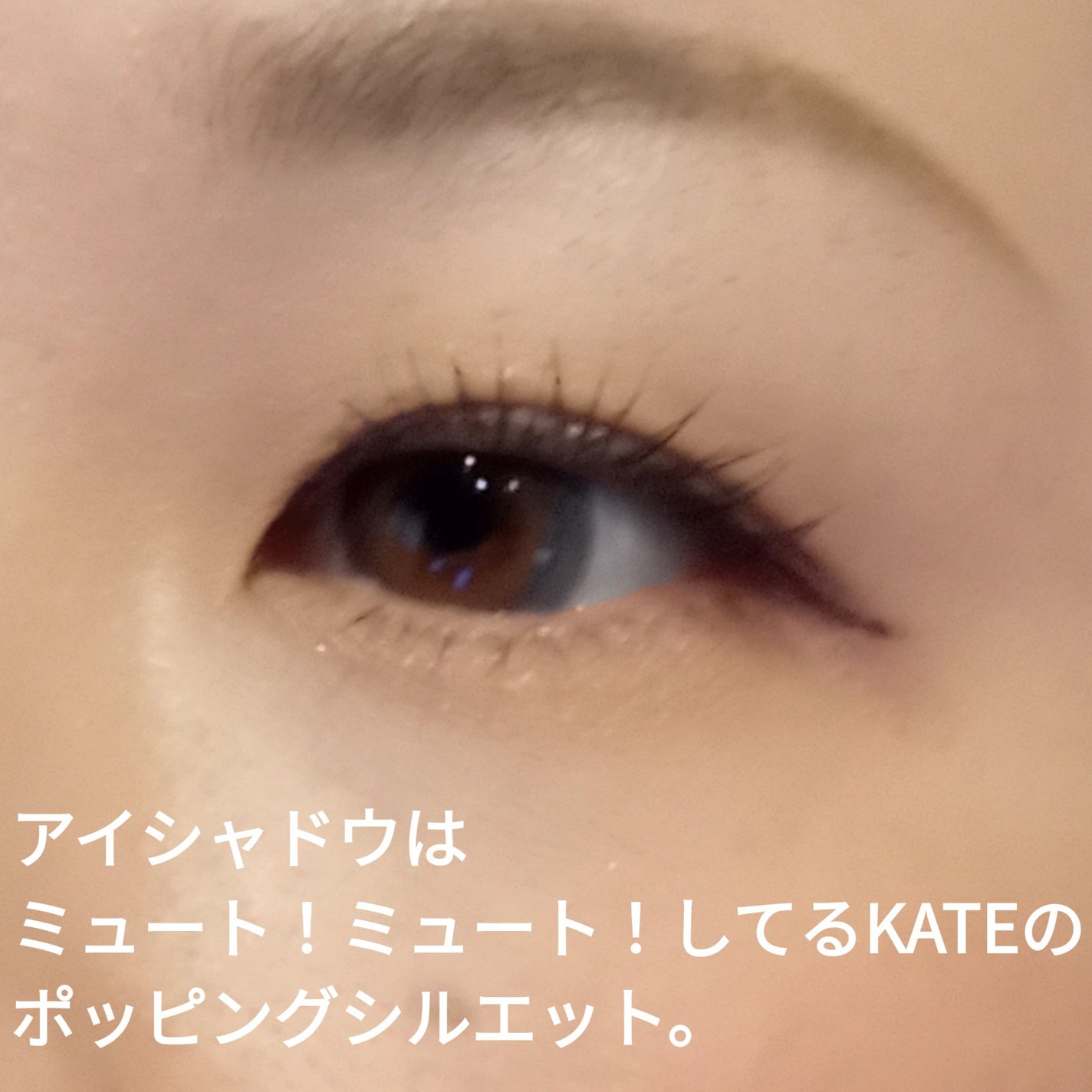 チークブラッシュ/CEZANNE/パウダーチークを使ったクチコミ(2枚目)