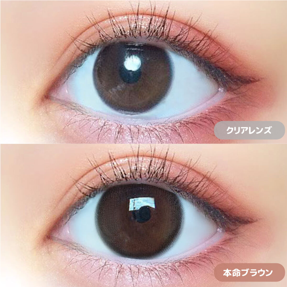 モテコン for スクール マンスリー 本命ブラウン