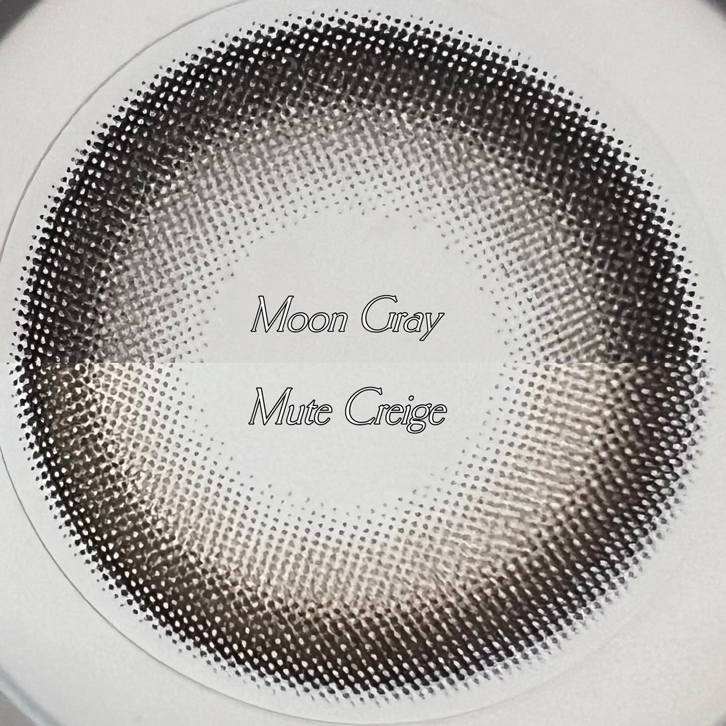 Majette 1day/Majette/ワンデー(1DAY)カラコンを使ったクチコミ(4枚目)