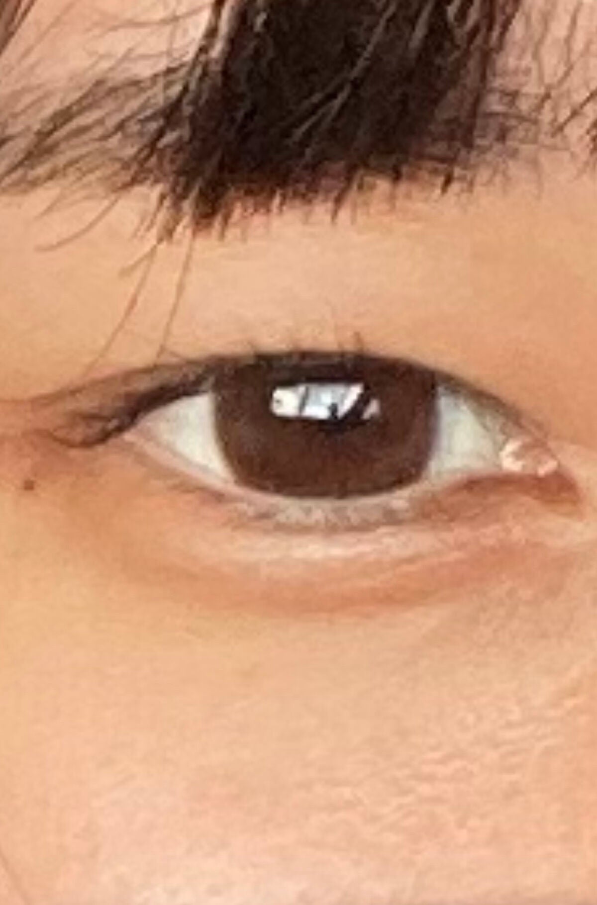 ReVIA CIRCLE 1day/ReVIA/ワンデー(1DAY)カラコンを使ったクチコミ(2枚目)