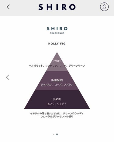 エッセンスリップオイル/SHIRO/リップケア・リップクリームを使ったクチコミ（4枚目）