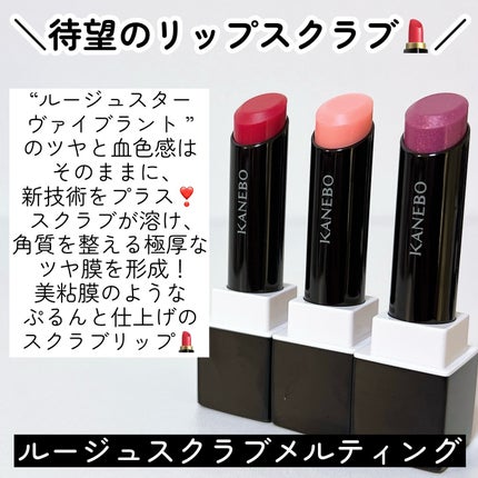 ルージュスターヴァイブラント/KANEBO/口紅を使ったクチコミ(7枚目)