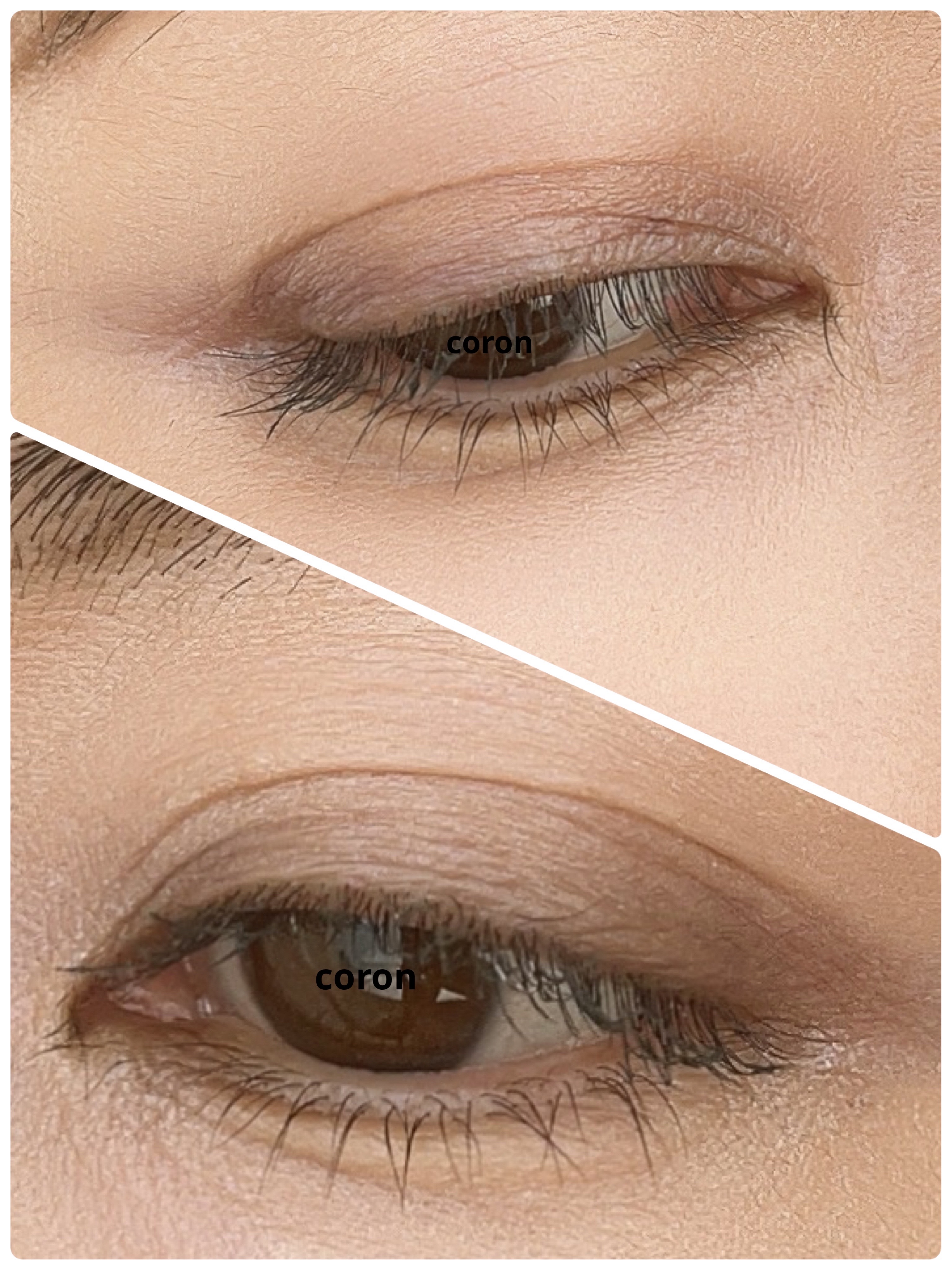 ケイト カールアウェイキングマスカラ GR-1 エボニーグリーン(限定色)/KATE/マスカラを使ったクチコミ（2枚目）