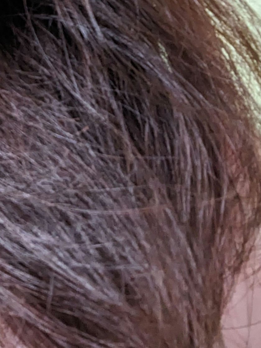 エッセンスインヘアミルク/オルビス/ヘアミルクを使ったクチコミ（3枚目）