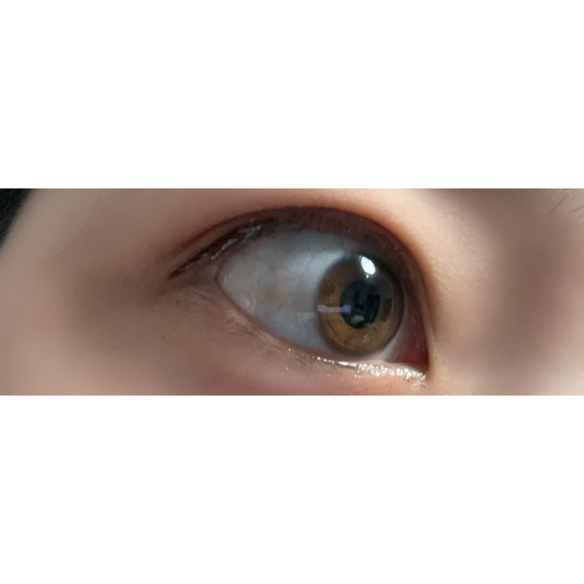 リキッドアイライナーS/キングダム/リキッドアイライナーを使ったクチコミ（2枚目）