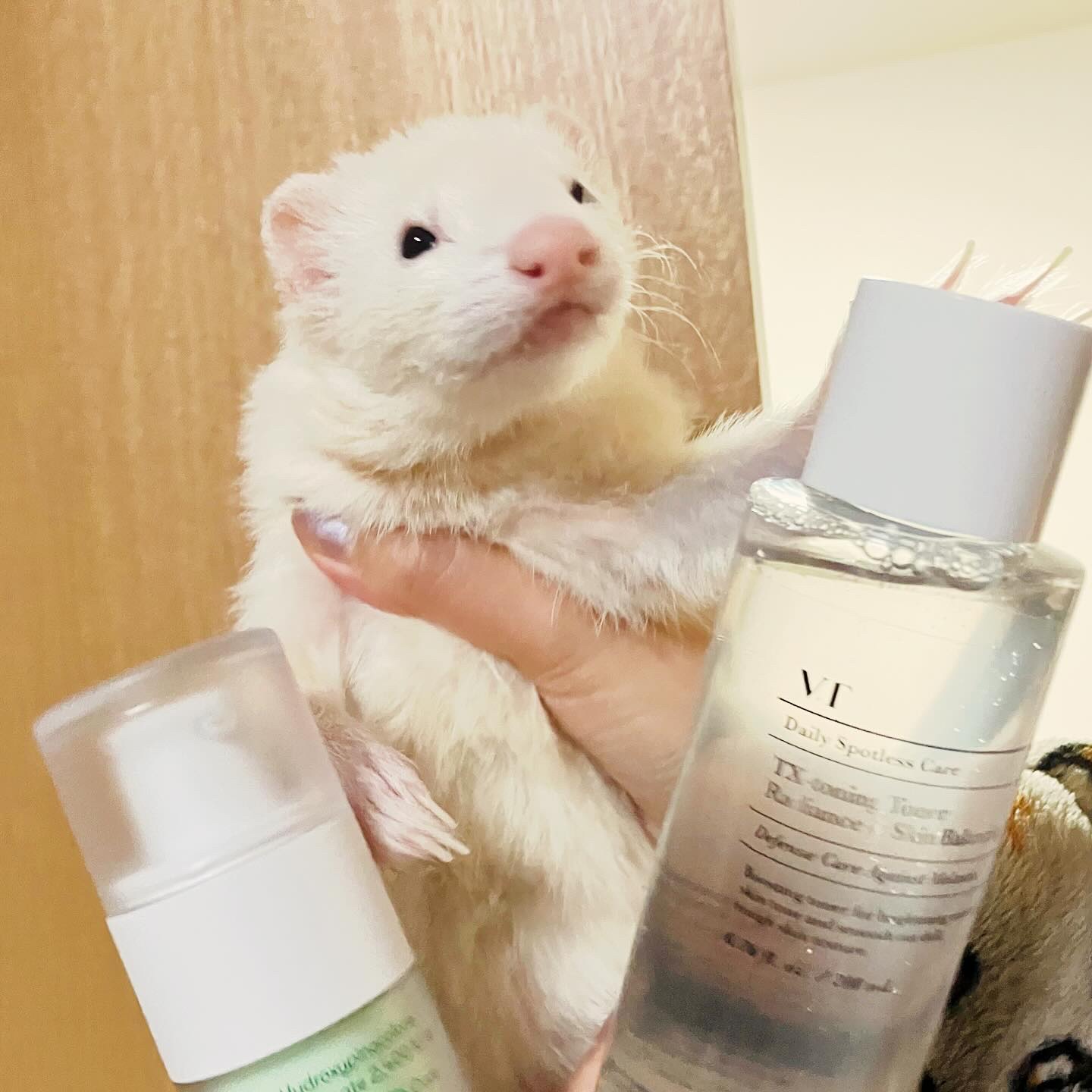 TXトーニングトナー/VT/化粧水を使ったクチコミ（2枚目）