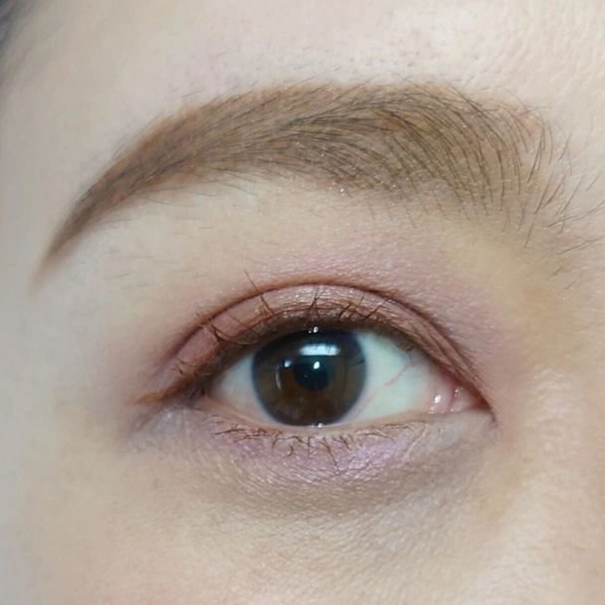 レ キャトル オンブル/CHANEL/アイシャドウパレットを使ったクチコミ(5枚目)