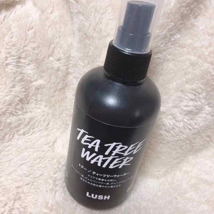 ティーツリーウォーター/ラッシュ/ミスト状化粧水を使ったクチコミ(1枚目)