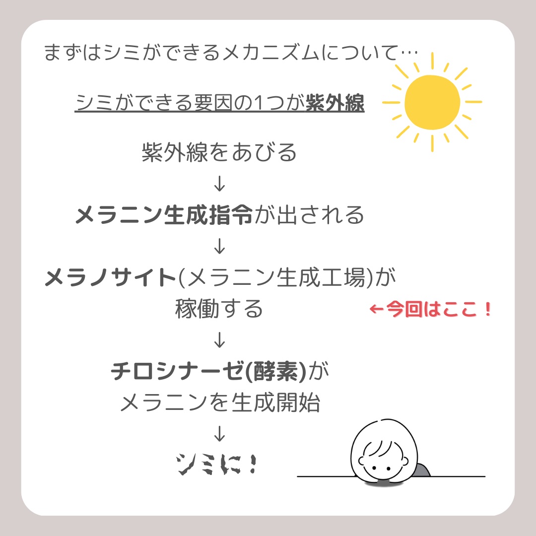 イノベイティブ ブライト エマルジョン XX/インフィニティ/乳液を使ったクチコミ（2枚目）