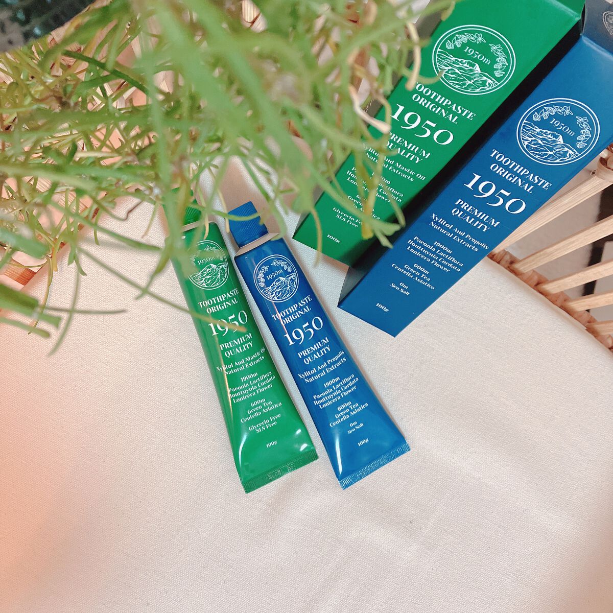 チェジュオリジナルグリーンオーガニック歯磨き粉/1950/歯磨き粉を使ったクチコミ（1枚目）