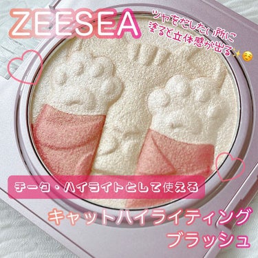 ZEESEA キャットハイライティングブラッシュのクチコミ「今日はZEESEA 
キャットハイライティングブラッシュのピンクカラーを紹介するよ👀🌸

ZE.....」（1枚目）