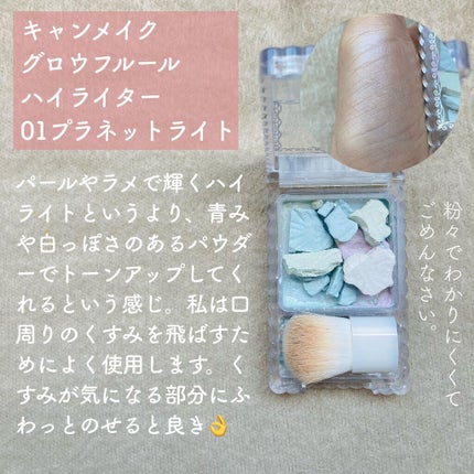 グロウフルールハイライター/キャンメイク/パウダーハイライトを使ったクチコミ(8枚目)