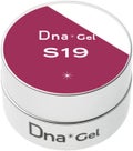 Dna Gel カラージェル