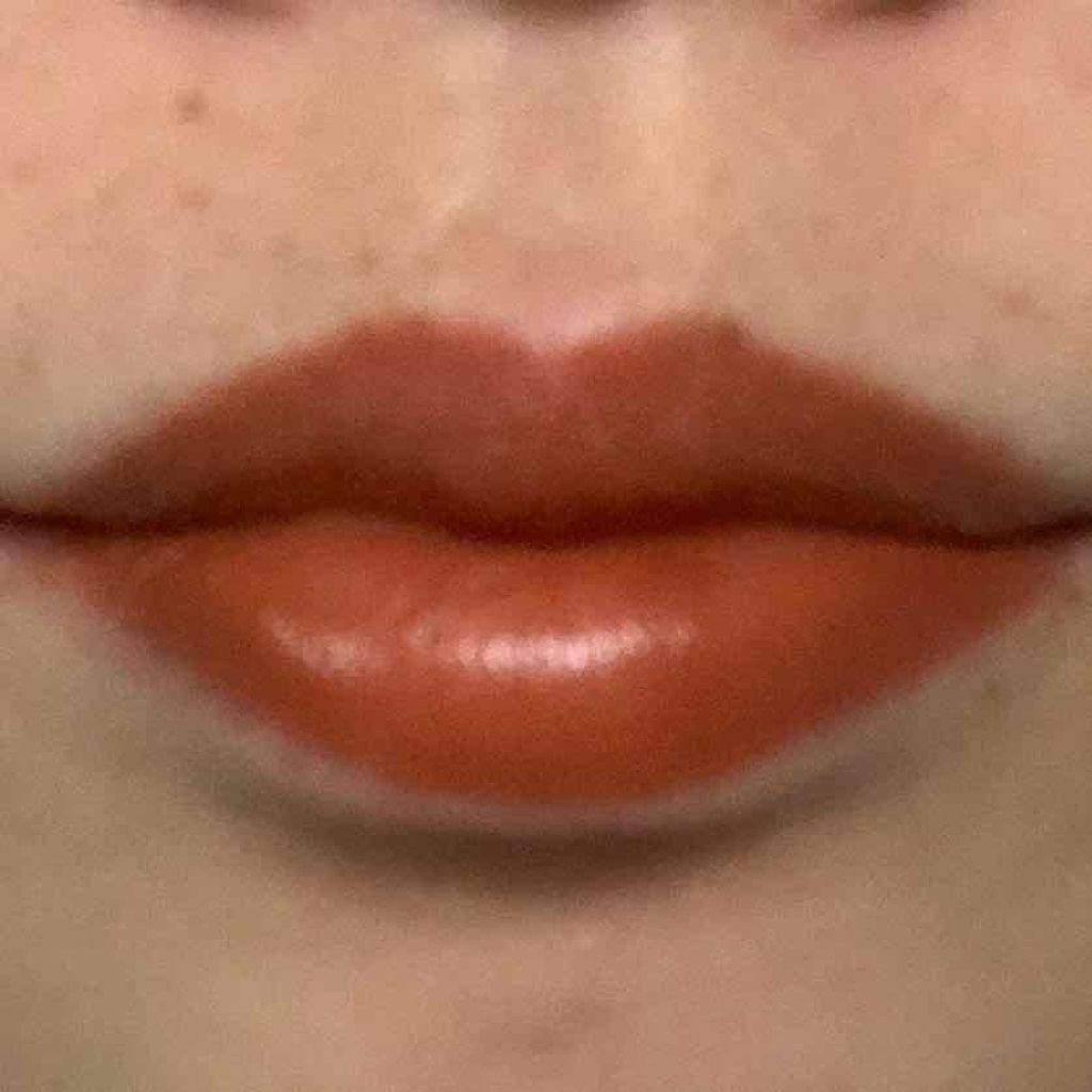 ディグニファイド リップス/Celvoke/口紅を使ったクチコミ(4枚目)