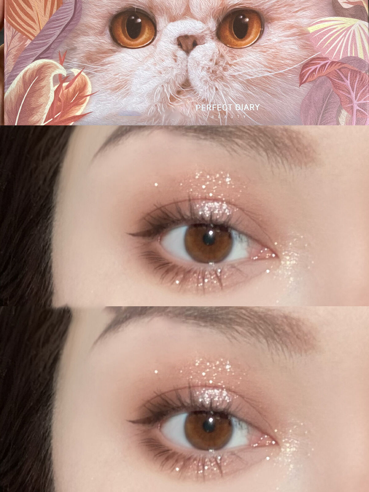 エクスプローラ12色 動物アイシャドウパレット 猫/PERFECT DIARY/アイシャドウパレットを使ったクチコミ（2枚目）