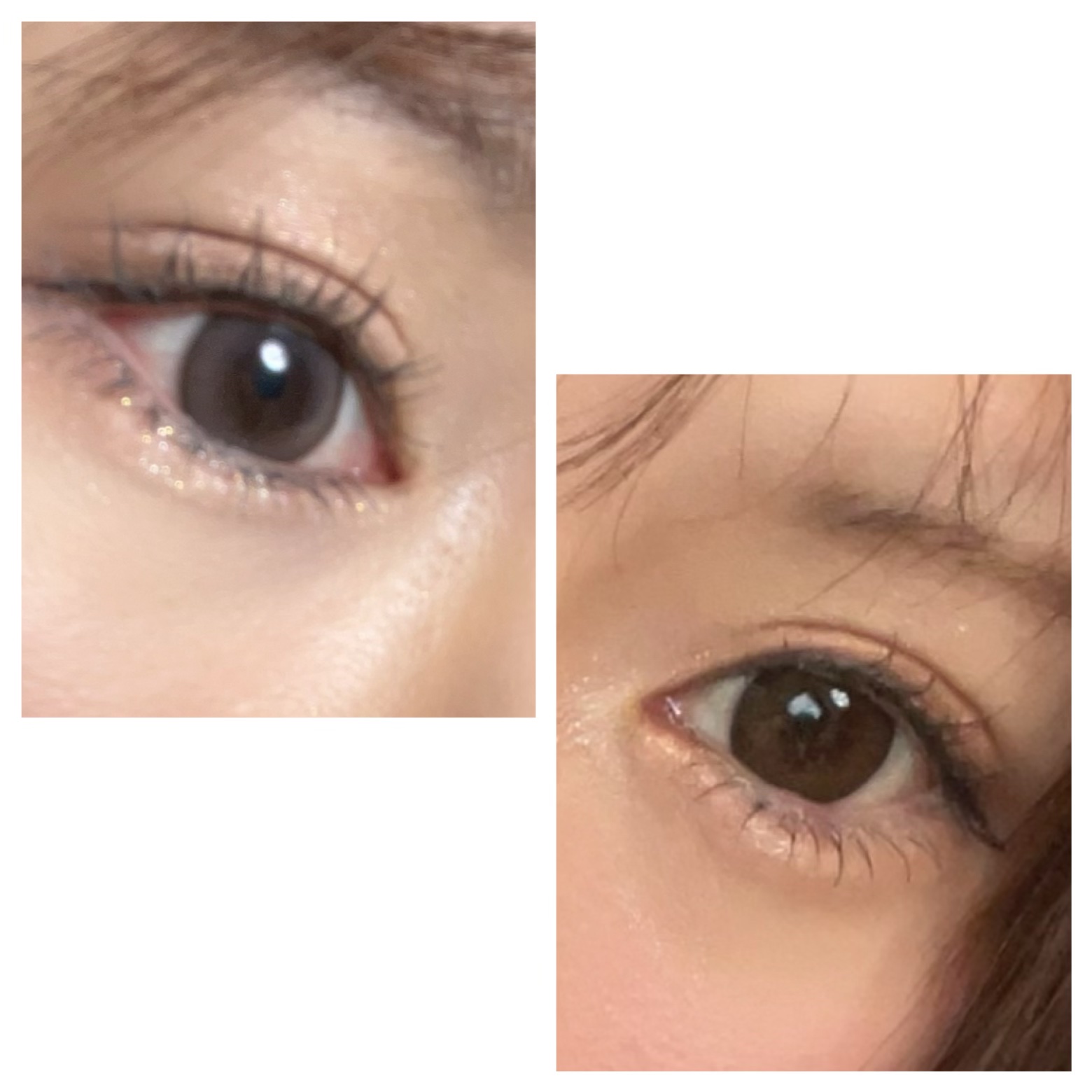 ANSORO ホットビューラー/Ansoro/ホットビューラーを使ったクチコミ（2枚目）