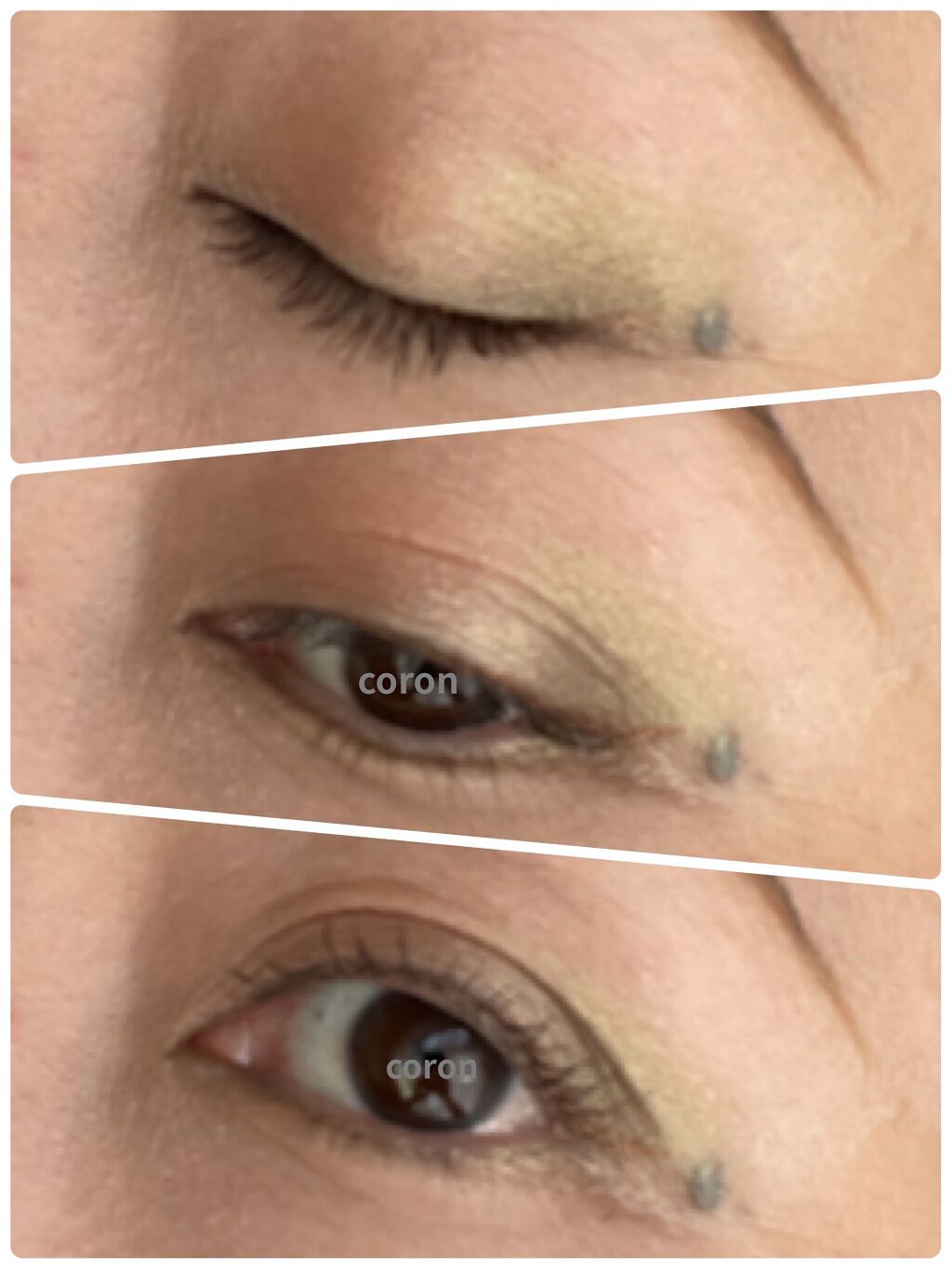 サンク クルール クチュール＜バーズ オブ ア フェザー＞ 459 ナイト バード/Dior/アイシャドウパレットを使ったクチコミ（2枚目）