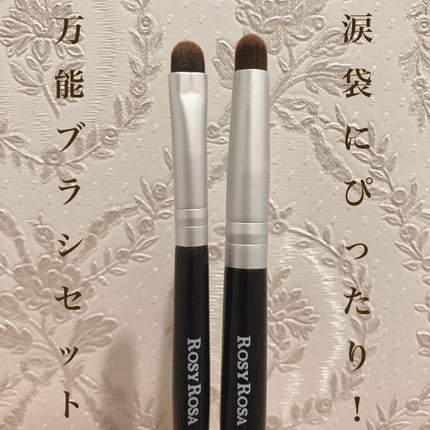 ポイントメイクアップブラシセット/ロージーローザ/メイクブラシを使ったクチコミ(1枚目)