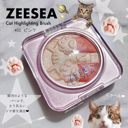 キャットハイライティングブラッシュ/ZEESEA/パウダーハイライトを使ったクチコミ(1枚目)