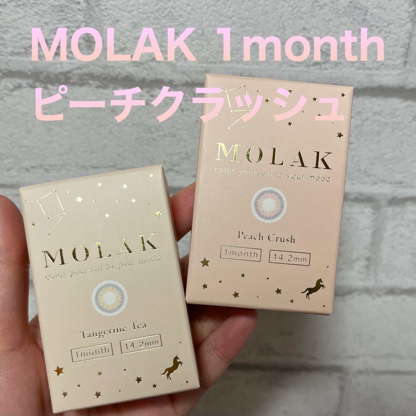 MOLAK 1month/MOLAK/1ヶ月(1MONTH)カラコンを使ったクチコミ(1枚目)