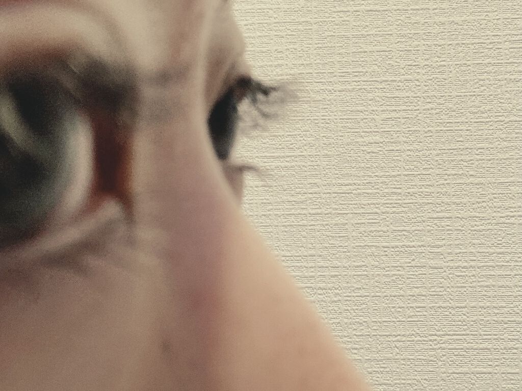 リバイタラッシュ アドバンス ジャパン/エム・アール・アイ/まつげ美容液を使ったクチコミ（3枚目）