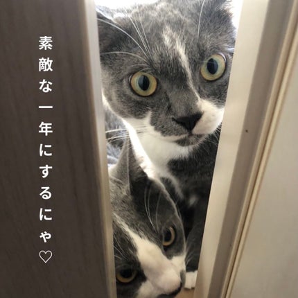 ã¯ãªãŒããŒã¿ããã©ã€ããŒ/ãã£ã³ã¡ã€ã¯/ãžã§ã«ã¢ã€ã©ã€ããŒã䜿ã£ãã¯ãã³ãïŒ7æç®ïŒ