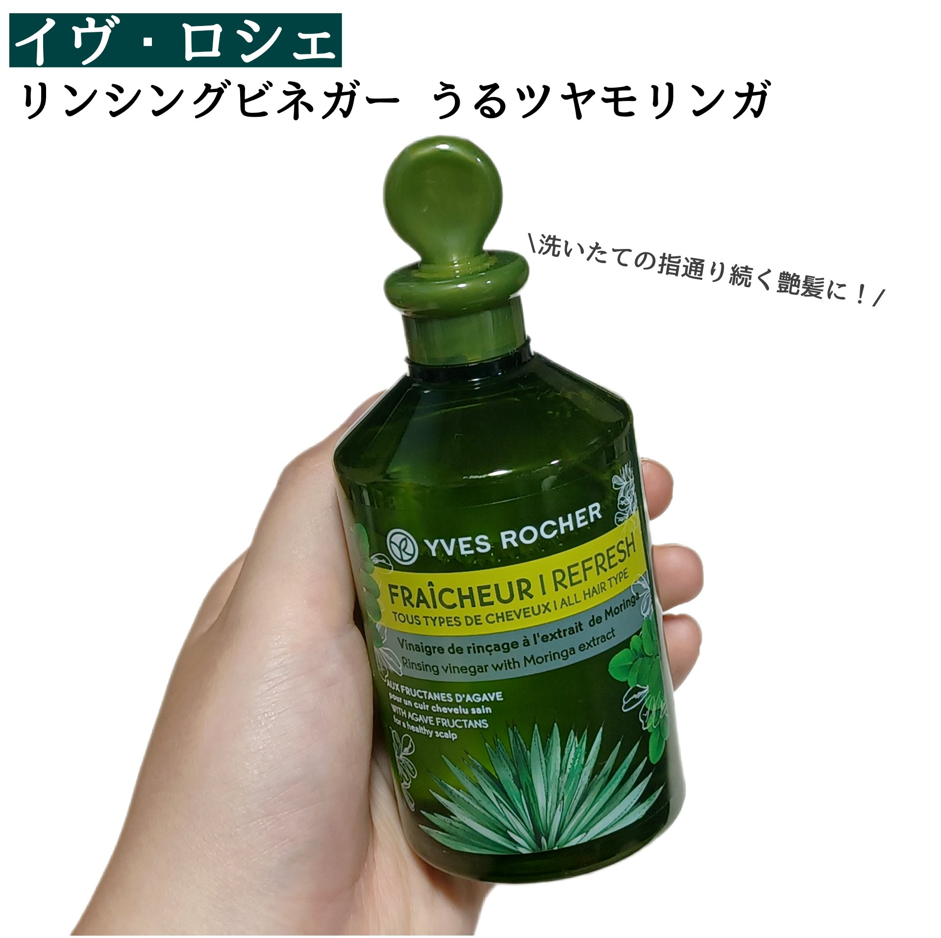 リンシングビネガー 軽やかネトル/イヴ・ロシェ/洗い流すヘアトリートメントを使ったクチコミ（1枚目）