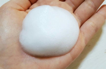 アルージェ モイスチャーフォームのクチコミ「こんにちは ´ω` )/
今回は全薬工業株式会社さんの「アルージェ モイスチャーフォーム」を.....」(2枚目)