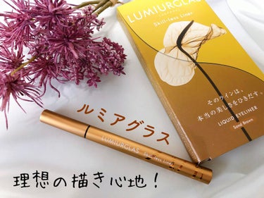 スキルレスライナー/LUMIURGLAS/リキッドアイライナーを使ったクチコミ（1枚目）