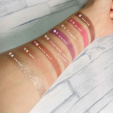 ファーストコレクションリップス/VAVI MELLO/口紅を使ったクチコミ(2枚目)