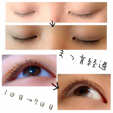 ENHANCEMENTS LASH BOOST/Rodan and Fields/まつげ美容液を使ったクチコミ（1枚目）