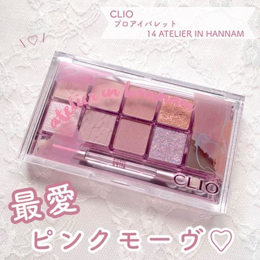 プロ アイ パレット 14 ATELIER IN HANNAM/CLIO/パウダーアイシャドウを使ったクチコミ（1枚目）