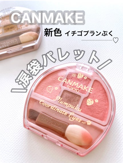 プランぷくコーデアイズ/キャンメイク/パウダーアイシャドウを使ったクチコミ(1枚目)