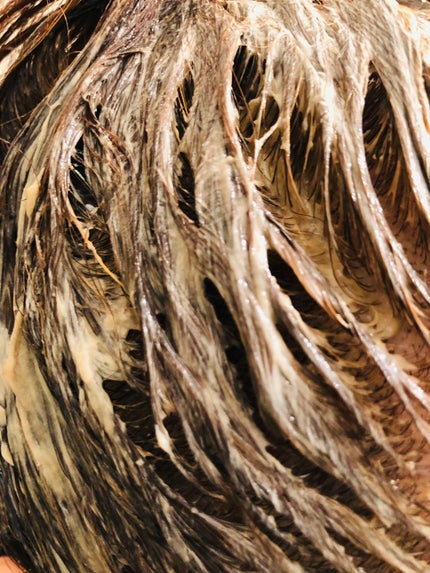 ウエラトーン ツープラスワン クリームタイプ/ウエラ/ヘアカラーを使ったクチコミ(5枚目)