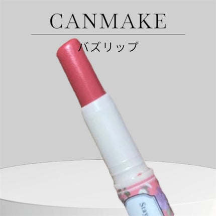 ステイオンバームルージュ(ティントタイプ)/キャンメイク/リップティントを使ったクチコミ(3枚目)