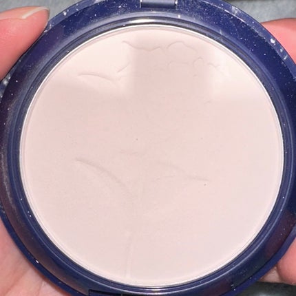 All day シルキーモイストパウダー ローズ/ROSE LABO/プレストパウダーを使ったクチコミ(2枚目)