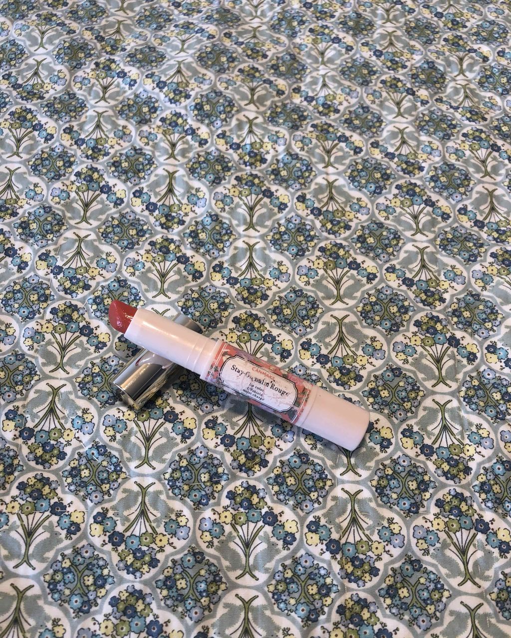 ステイオンバームルージュ/キャンメイク/口紅を使ったクチコミ(1枚目)