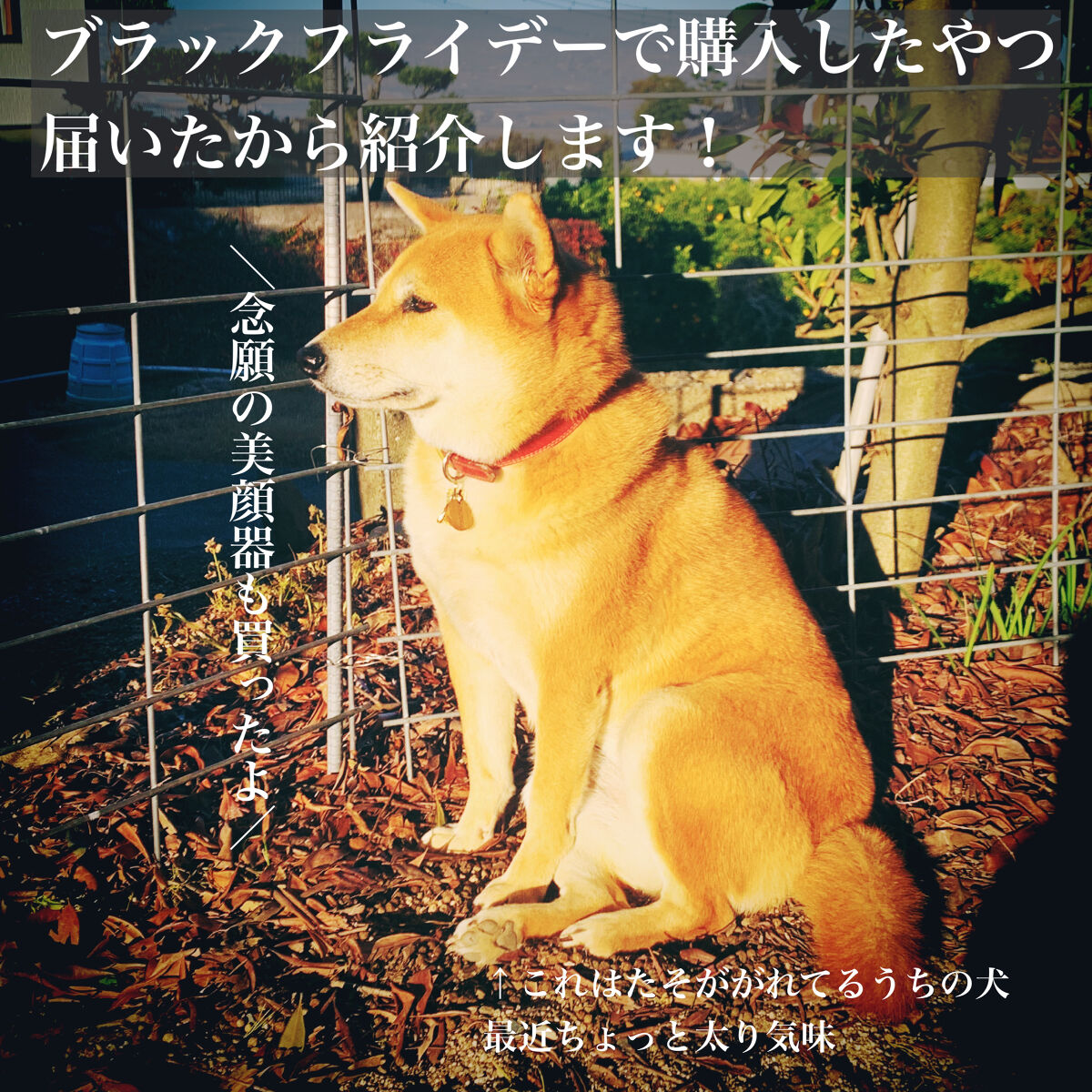 ピュア クレンジング オイル/manyo/オイルクレンジングを使ったクチコミ（1枚目）