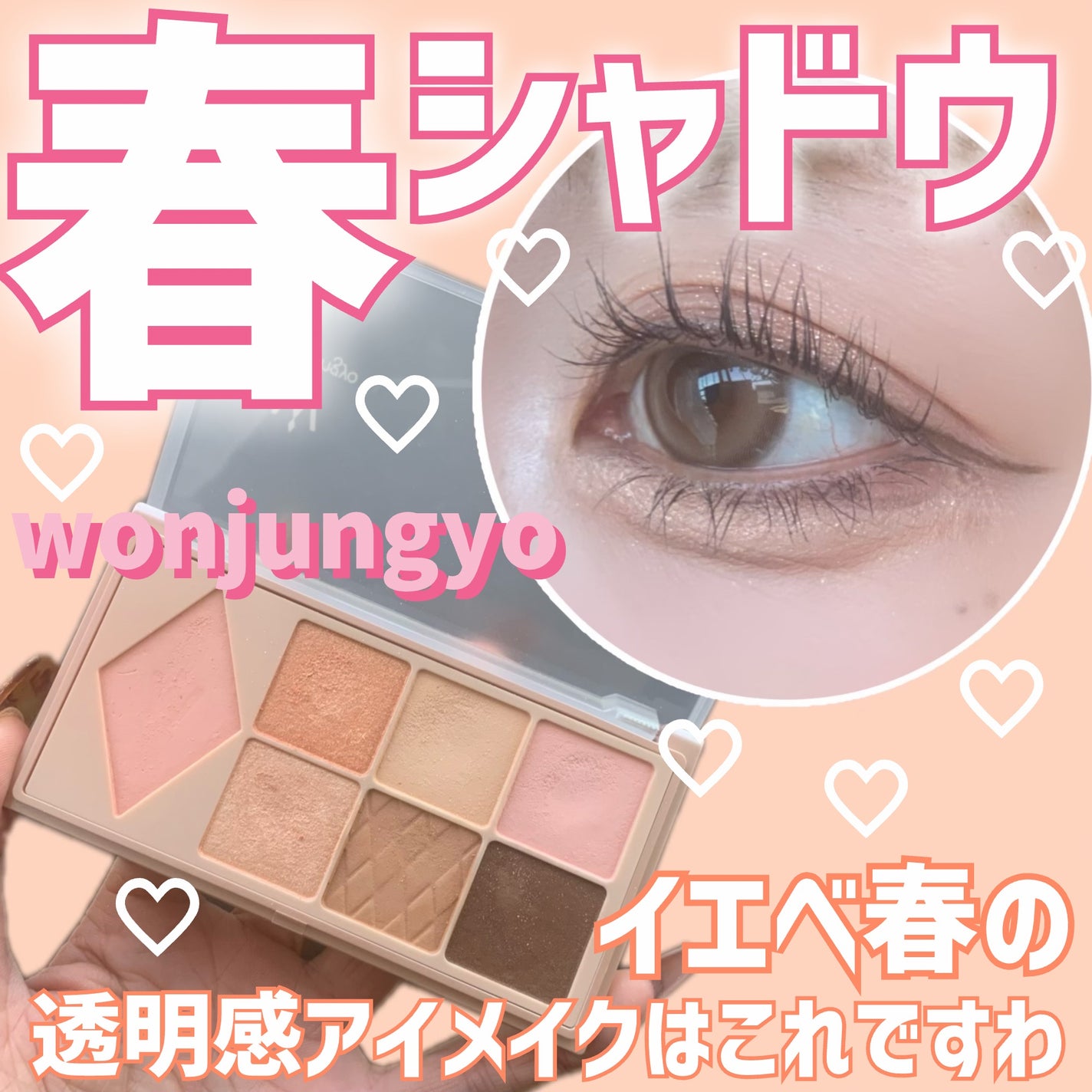 ウォンジョンヨ W デイリームードアップパレット /Wonjungyo/アイシャドウパレットを使ったクチコミ(1枚目)