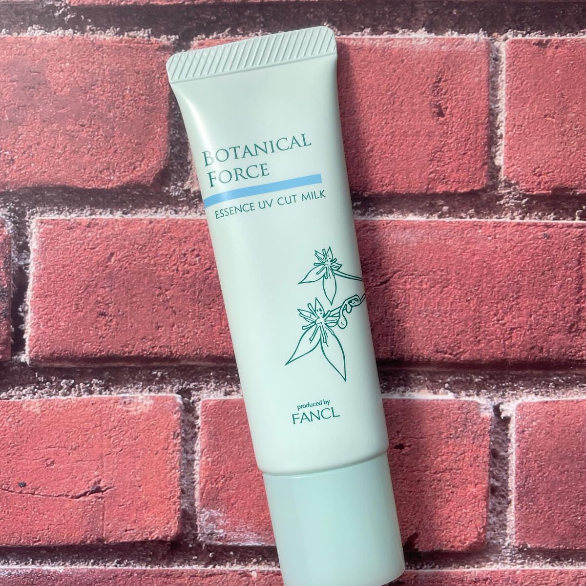 つやつやトーンアップUV/ボタニカルフォース/化粧下地を使ったクチコミ(2枚目)