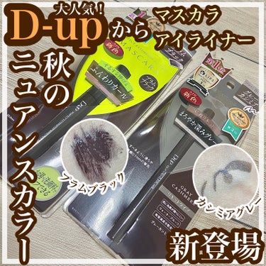 パーフェクトエクステンション マスカラ for カール/D-UP/マスカラを使ったクチコミ（1枚目）