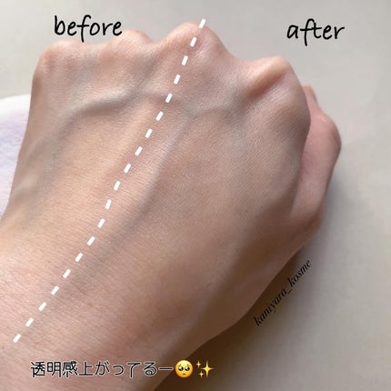 ルース パウダー/DECORTÉ/ルースパウダーを使ったクチコミ(6枚目)