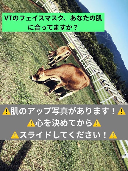 CICA デイリースージングマスク/VT/シートマスク・パックを使ったクチコミ(1枚目)