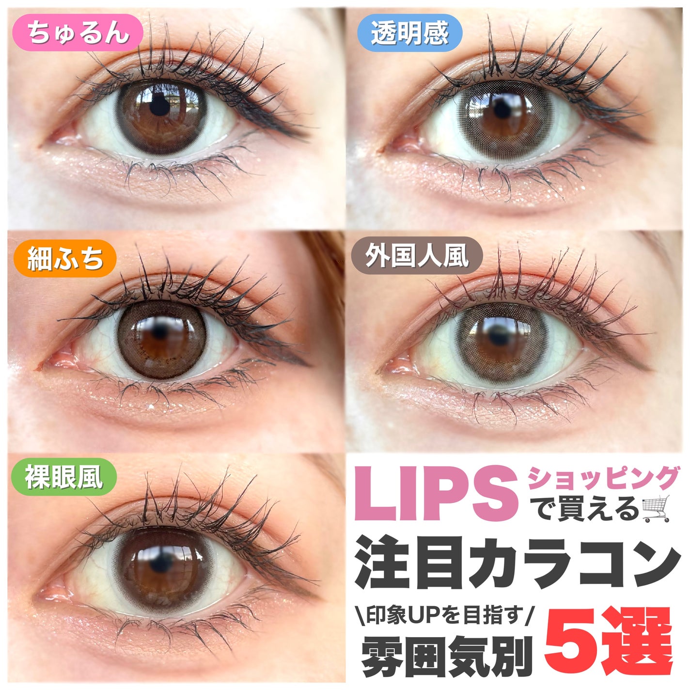 エバーカラーワンデー ナチュラル/エバーカラー/ワンデー(1DAY)カラコンを使ったクチコミ(1枚目)