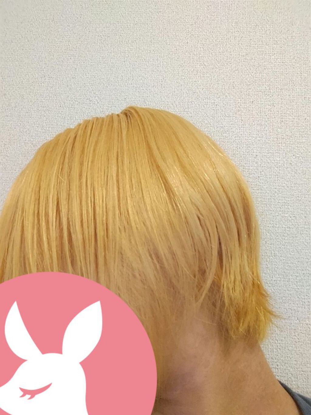 ベースアップブリーチ/ビューティーン/ブリーチ剤を使ったクチコミ（1枚目）