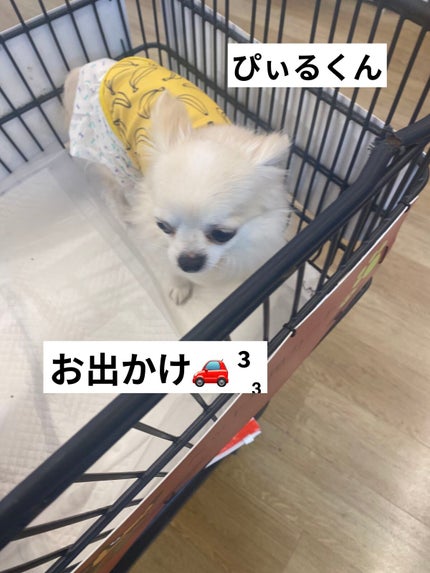 シルクアイスパウダー/b idol/ルースパウダーを使ったクチコミ(9枚目)