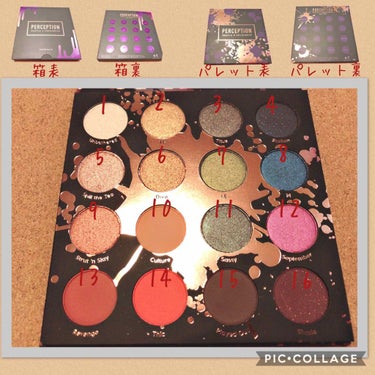 ColourPop Shayla×colourpopのクチコミ「カラーポップ  PERCEPTION  23ドル

オリーブ、琥珀、ネイビー、茄子などシンプル.....」（2枚目）